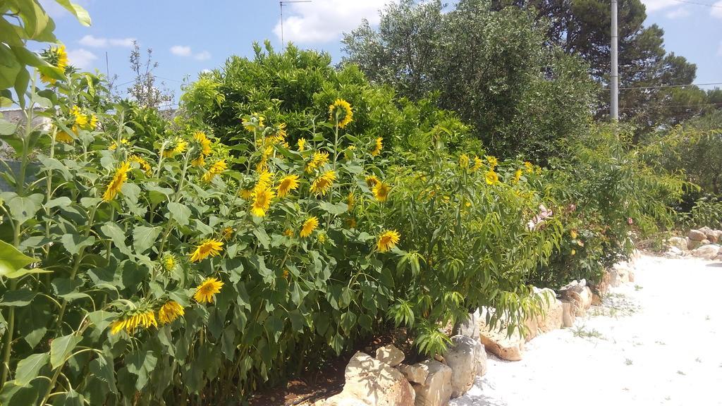 B&B Oceano Monopoli Eksteriør billede
